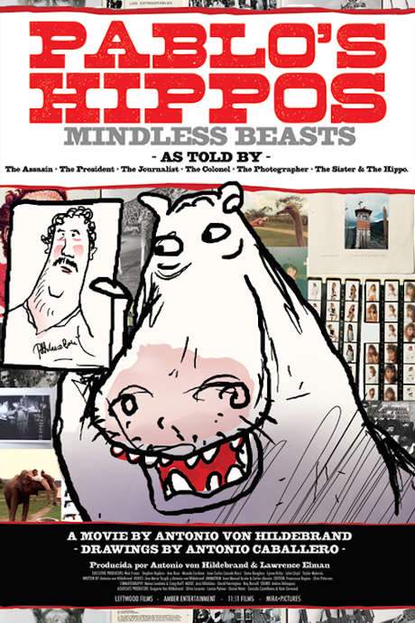 Pablo’s Hippos